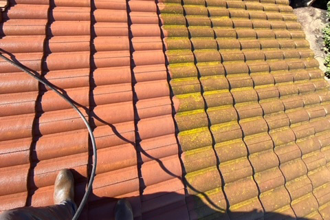 Roof Cleaning Service near me Orange County CA 10