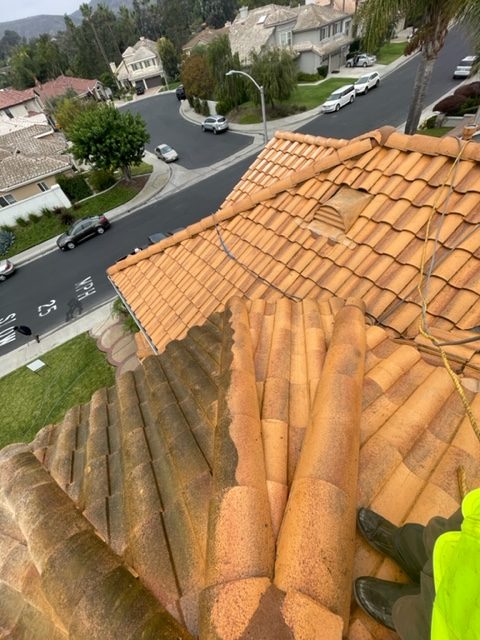 roof cleaning comapny near me