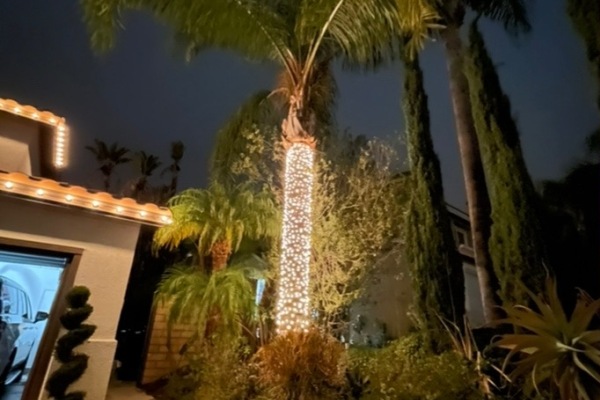 Christmas Light Installation Serivce San Clemente CA 22