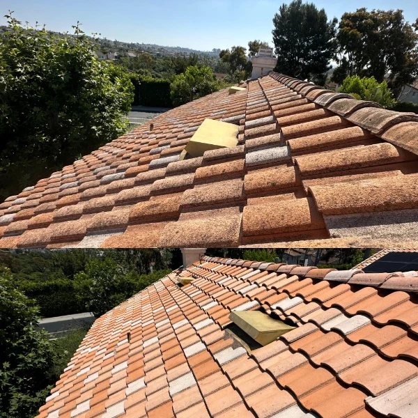 roof cleaning and pressure washing in dana point orange county 001